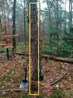 Chêne américain, Enlèvement ou Envoi