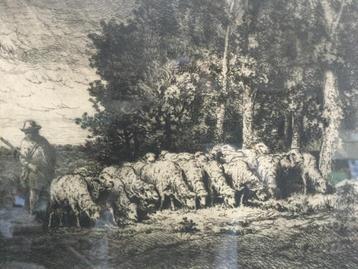 Ets Emile Jacque Troupeau de moutons broutant l'herbe disponible aux enchères