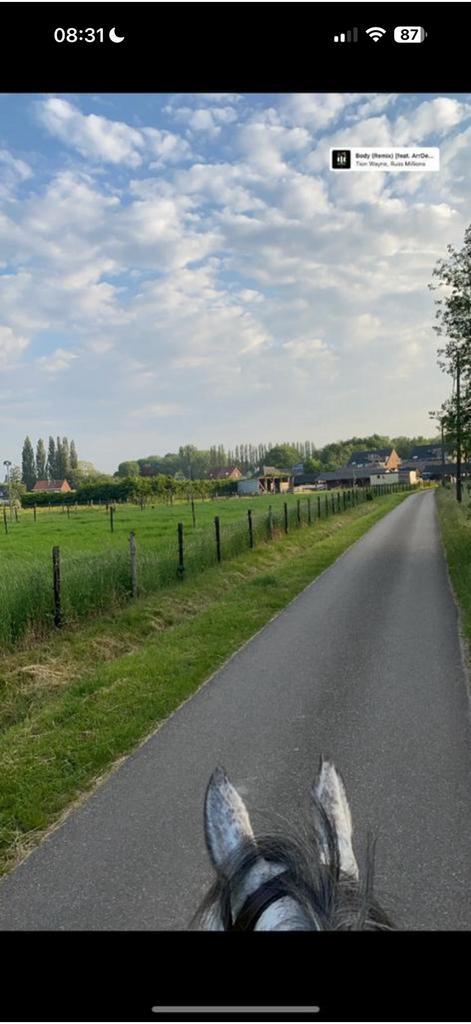 Stal voor overwintering, Dieren en Toebehoren, Stalling en Weidegang, Stalling