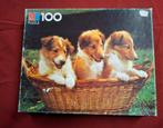 Puzzel honden : Schotse Collie puppy's 100 Stukken, Enlèvement ou Envoi, Puzzle