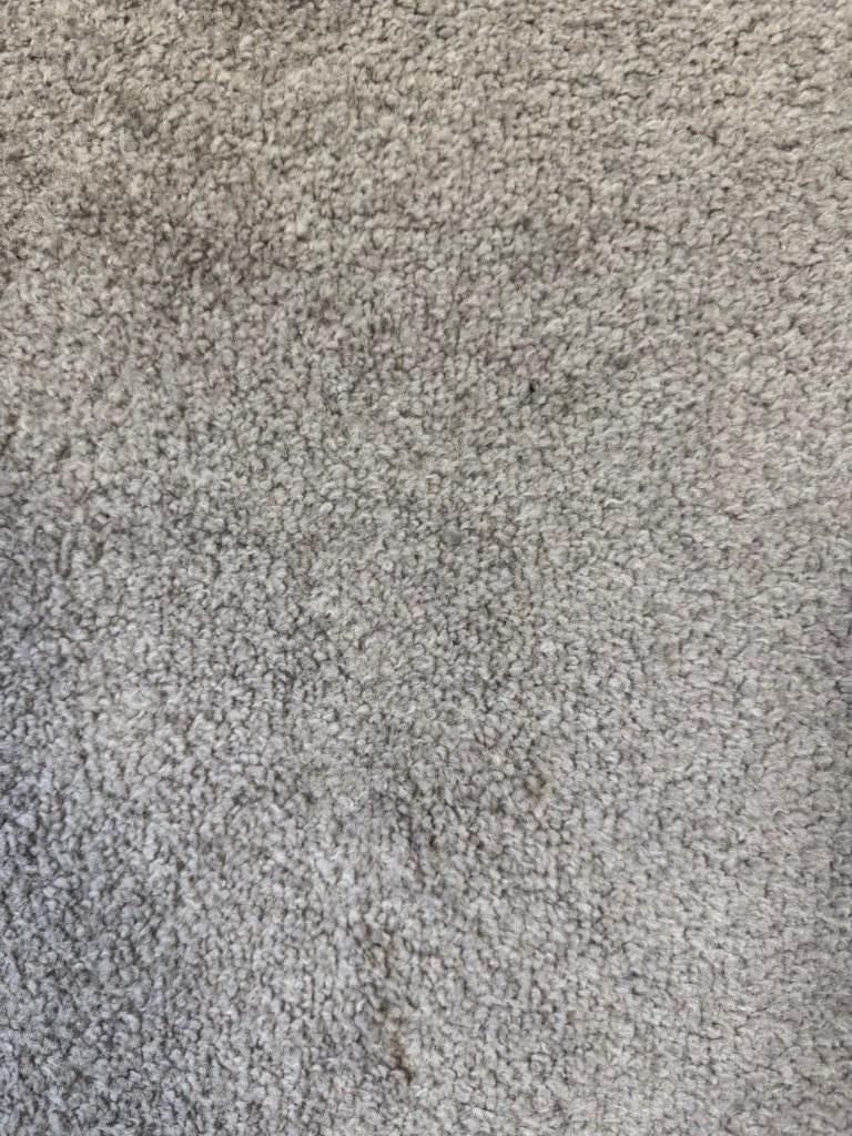 Grande Tapis uni de Salon Chambre, Uni, 200 cm ou plus, 200 cm ou plus, Beige