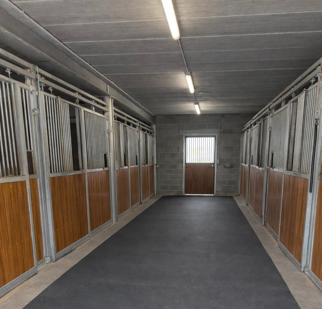 3 Vol pension boxen vrij in (Lier), Dieren en Toebehoren, Stalling, 2 of 3 paarden of pony's