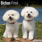 Calendrier Bichon Frise 2017, Enlèvement ou Envoi, Calendrier annuel, Neuf