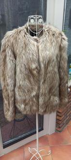 Leuk jasje in pels., Kleding | Dames, Ophalen of Verzenden, Jasje