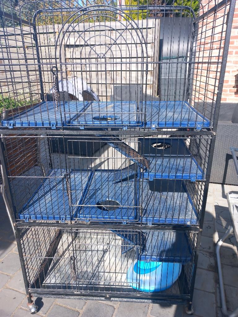 Cage chinchilla ou furet, Animaux & Accessoires, 90 cm ou plus, Cage, Utilisé, Chinchilla