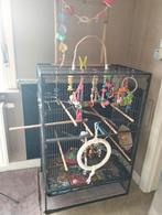 Cage complète avec eclectus, Enlèvement