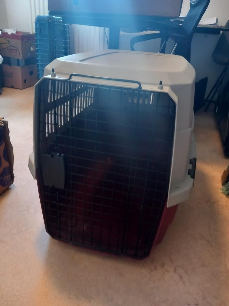 Reisbench hond, Ophalen