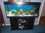 Aquarium Juwel Rio 240 LED + Meuble + Racine, Animaux & Accessoires, Enlèvement, Utilisé, Aquarium vide