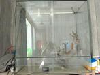 A vendre terrarium complet, Enlèvement, Utilisé, Terrarium ou Paludarium