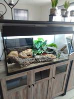 Aquarium Juwel Primo 110, Ophalen