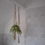 Macrame hangers met pot en hangplanten, Ophalen