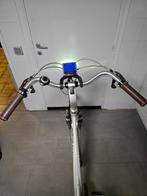 Elektrische fiets, Sports & Fitness, Équipement de fitness, Enlèvement