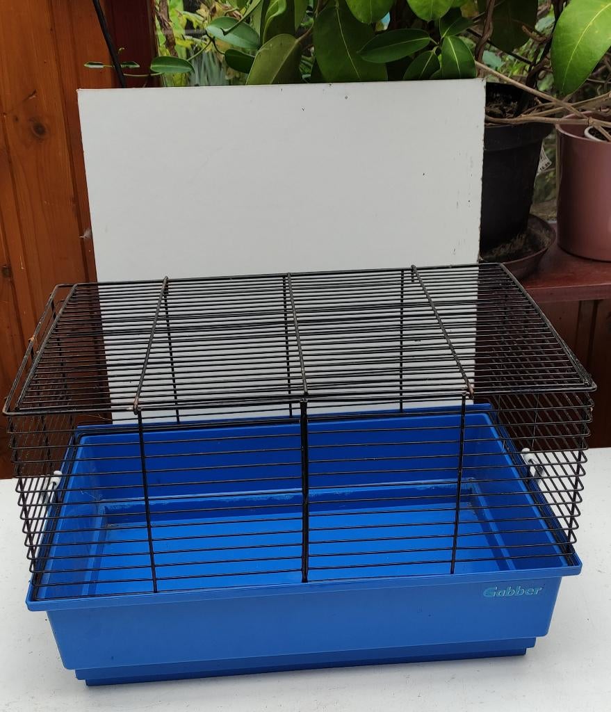 Kooi voor hamster of cavia, Dieren en Toebehoren, Ophalen, Kooi, Muis