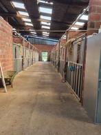 Prive pensionstal heeft boxen  vrij., Dieren en Toebehoren, Weidegang, 4 paarden of pony's of meer