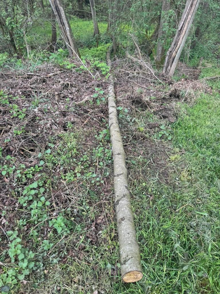 Brandhout, Tuin en Terras, Brandhout, Ophalen