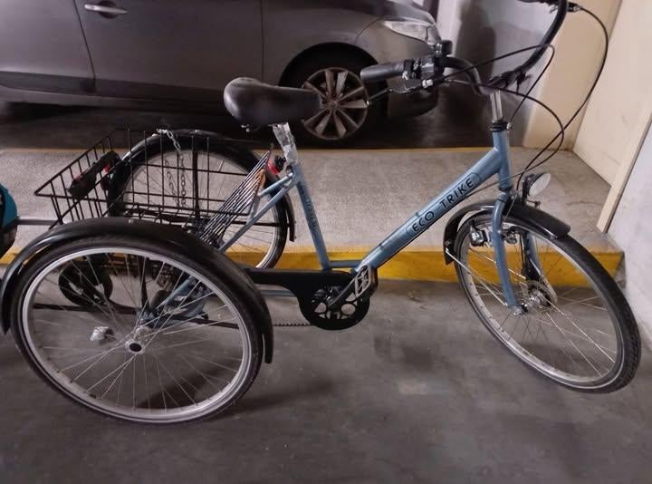 driewieler in goede staat, Ophalen, Zo goed als nieuw, Eco trike