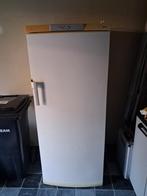 Grote diepvrieskastb met vakken, Elektronische apparatuur, Vriezers en Diepvrieskisten, Zo goed als nieuw, Energieklasse A of zuiniger