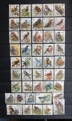Lot de 45 timbres-poste d'oiseaux  Buzin - oblitérés, Enlèvement ou Envoi, Affranchi, Timbre-poste, Autre