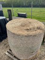 Hooi grote baal, Dieren en Toebehoren, Ophalen