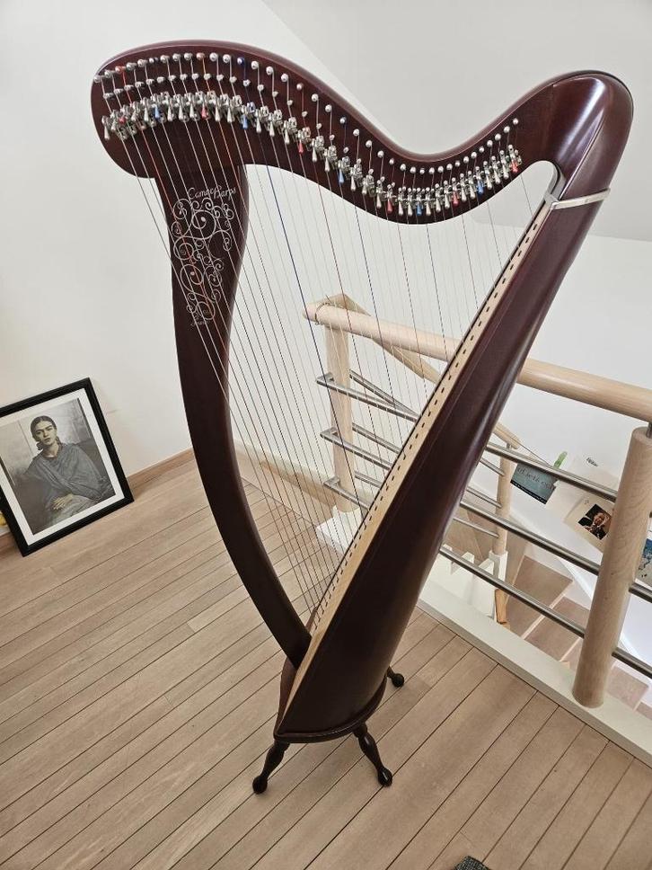 Klepjesharp, Musique & Instruments, Instruments à corde | Harpes, Comme neuf, Enlèvement