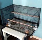 Grande cage pour oiseaux en parfait état, Enlèvement