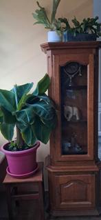 VITRINE EN CHÊNE - 3 étagères, Maison & Meubles, Enlèvement