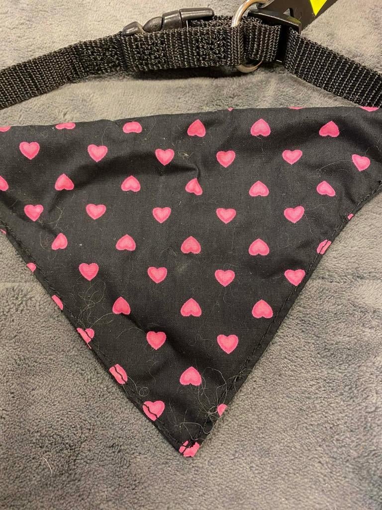 Halsband met hartjes bandana aan outletprijsje., Ophalen of Verzenden, Nieuw