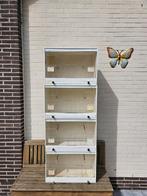 Kweekkooien in hout, Enlèvement