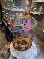 Grande cage ronde, Enlèvement