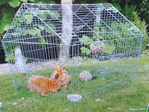 konijnenren , kippenren gegalvaniseerd, Dieren en Toebehoren, Pluimvee | Toebehoren, Nieuw, Kippenhok of Kippenren, Ophalen