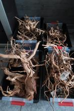 Kienhout., Dieren en Toebehoren, Ophalen, Nieuw