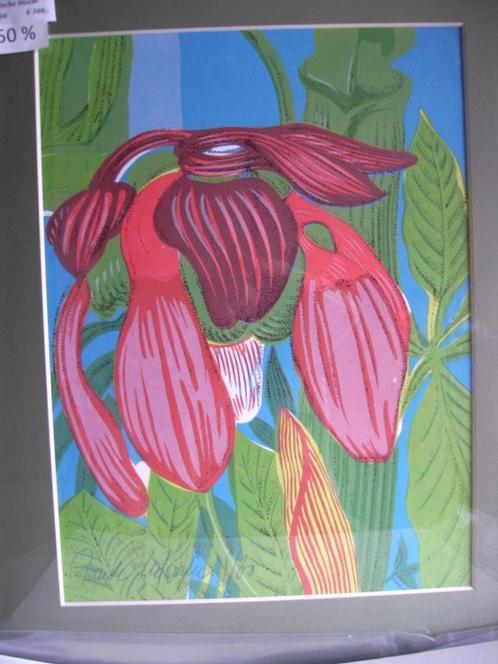 zeefdrukken kleur, Antiek en Kunst, Kunst | Litho's en Zeefdrukken, Ophalen