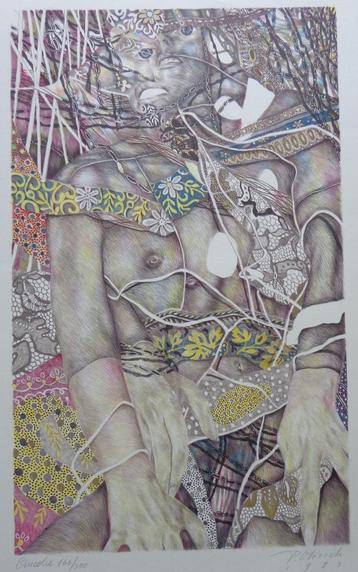 PIERRE VLERICK / ANCOLIE / KLEURLITHO / 61x45cm / SIG beschikbaar voor biedingen
