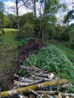 Fumier de cheval à donner, Jardin & Terrasse, Terre & Fumier, Enlèvement, Fumier