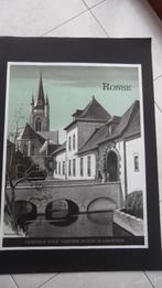 Affiche pour la ville de RONSE de 1960, Enlèvement, Comme neuf, Panneau publicitaire