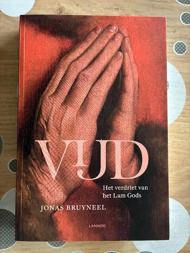 Vijd, het verdriet van het Lam Gods, Boeken, Overige Boeken, Zo goed als nieuw, Ophalen of Verzenden