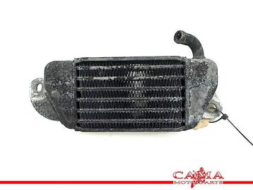 RADIATEUR EAU BMW R 1200 C (R1200C 97) (01-1997/-), Utilisé