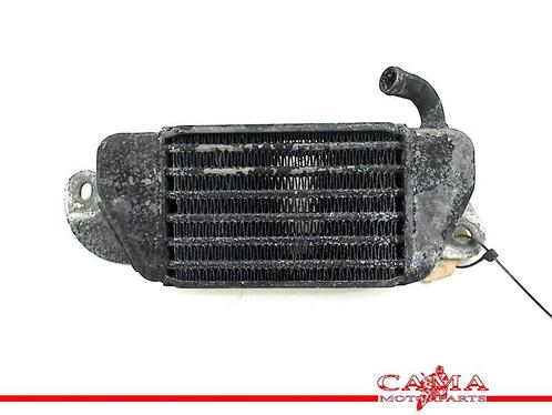 RADIATEUR BMW R 1200 C (R1200C 97) (01-1997/-), Motoren, Onderdelen | BMW, Gebruikt