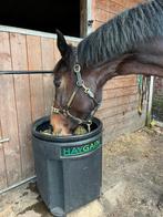 Haygain One - perfecte staat, Dieren en Toebehoren, Ophalen, Zo goed als nieuw