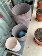 Lot de 2 pots pot plante lavende moyen, Enlèvement ou Envoi, Comme neuf