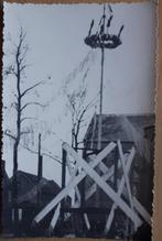 FOTOPOSTKAART : MEIBOOM uitg. Gevaert, Verzamelen, Postkaarten | Themakaarten, 1940 tot 1960, Feest(dag), Ongelopen, Verzenden