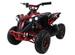 midiquad Renegade 1200 watt 48 volt instelbare snelheid, Motoren, 0 cc, 11 kW of minder