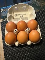 verse bio eieren 10 voor €3,50, Comme neuf, Enlèvement ou Envoi