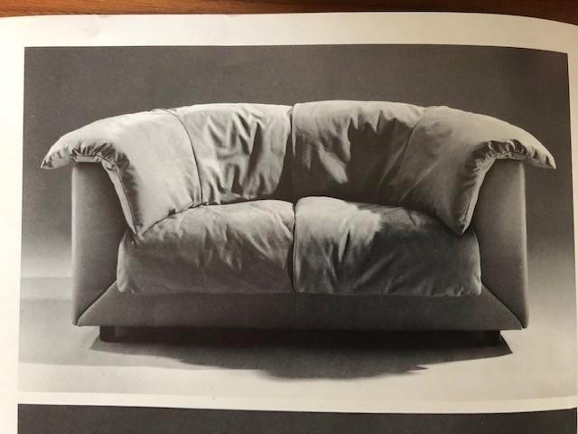 Canapé DESEDE DS 21, Antiquités & Art, Art | Objets design, Enlèvement