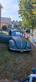 Volkswagen kever ovaal aug/1955, Auto's, Oldtimers, Beige, Volkswagen, Particulier, 2 deurs