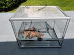 Terrarium, Dieren en Toebehoren, Ophalen, Gebruikt, Terrarium of Paludarium
