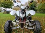 Quad Triton 450, Motoren, 450 cc, 1 cilinder, 12 t/m 35 kW