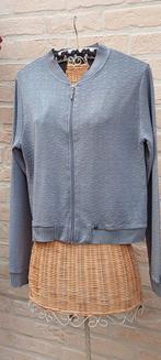 Vest maat s/m enjoy, Kleding | Dames, Overige kleuren, Enjoy, Ophalen of Verzenden, Zo goed als nieuw