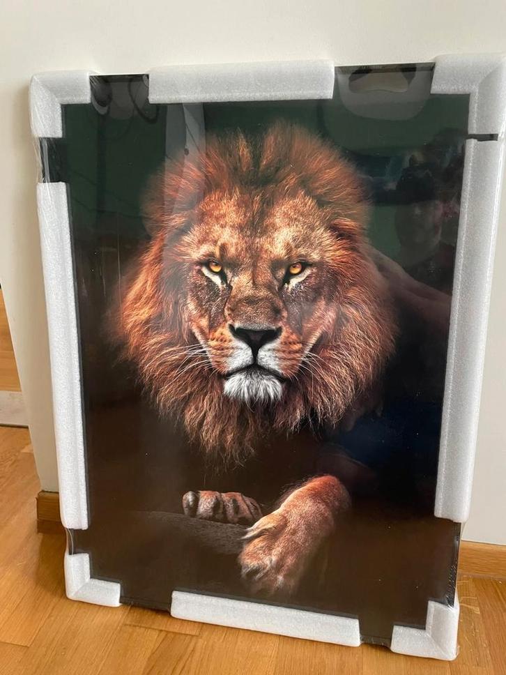 Moderne ingelijste afbeelding, glas in aluminum kader, Antiek en Kunst, Kunst | Schilderijen | Modern, Ophalen