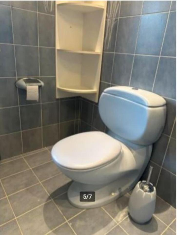 vintage toilet space age Luigi Colani V&B 70er Crocus, Verzamelen, Retro, Huis en Inrichting, Ophalen